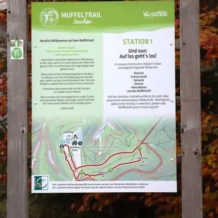 Bergblick * Winterberg